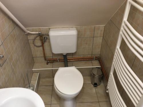 a small bathroom with a toilet and a sink at Fitt Magánszálláshely in Sásd