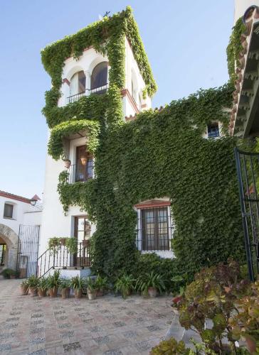 a building covered in green ivy at Hacienda de Orán in Utrera