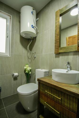a bathroom with a toilet and a sink and a mirror at Vida`s house in Virpazar