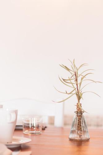 a glass vase with a plant in it on a table at Herdade da Sanguinheira in Longomel