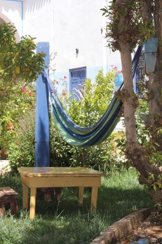 a hammock hanging from a tree in a yard at Escale Rando Taliouine in Taliouine