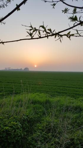 a field with the sun setting in the horizon at BenB Zuidoord in Zuidland