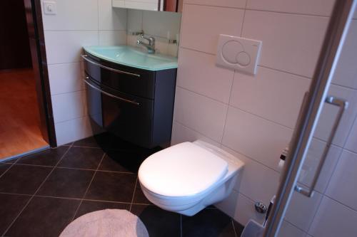 a bathroom with a toilet and a sink at Myzermatt Monazit in Zermatt