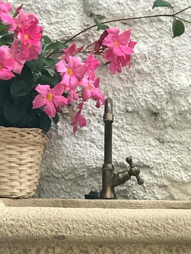 Φωτογραφία από το άλμπουμ του Residence Campanelle 54 στη Τεργέστη