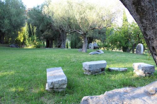 a group of rocks in a field with a tree at Pie' d'Ulivo in Bosco