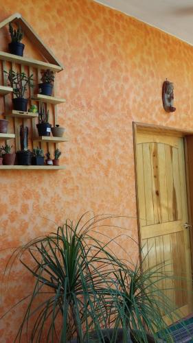Galeriebild der Unterkunft Teocalli in Teotitlán del Valle