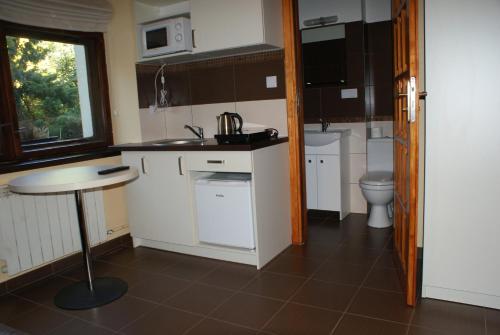 Il comprend une petite cuisine avec un lavabo et des toilettes. dans l'établissement Willa Kasztelańska, à Porąbka