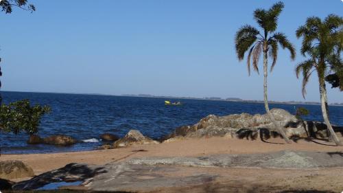 una spiaggia con palme e una barca in acqua di Apartamento kitchenette a São Lourenço do Sul