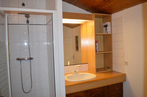 W łazience znajduje się umywalka i prysznic. w obiekcie Campagn'Art w mieście Les Fosses