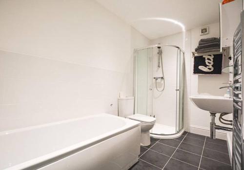 a white bathroom with a toilet and a sink at Reivers Apartment in Berwick-Upon-Tweed