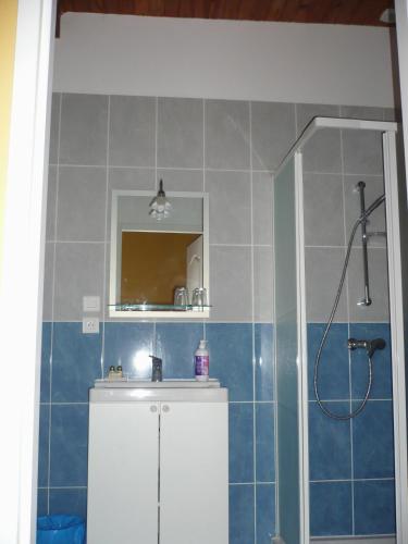a bathroom with a sink and a shower at Les Convertigues in Montjoire