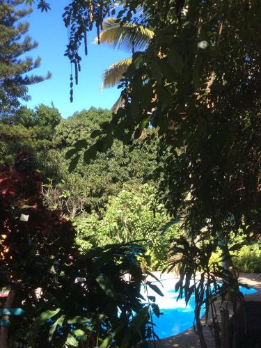 a view of a river through the trees at Les Manguiers in Deshaies