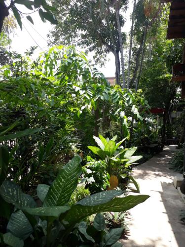 Zahrada ubytování Oldy De Garden