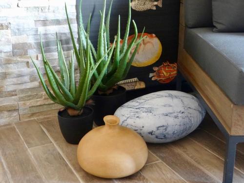 a group of plants sitting on the floor next to a couch at Three Cities Apartments in Cospicua