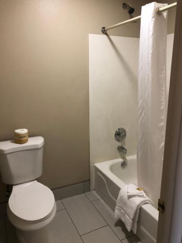 a bathroom with a toilet and a bath tub at Mountain View Inn in Flagstaff