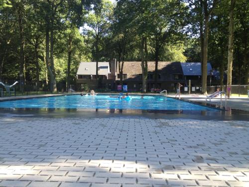 una gran piscina con gente. en Ceder 9 Hengelhoef en Aan de Wolfsberg