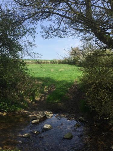 a creek with a field in the distance with trees at Waldegrave farm in Hartest