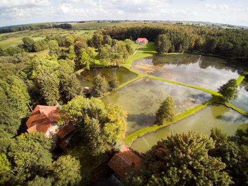 an aerial view of a lake with trees and a house at Gazdų Vandens Malūnas in Navininkai