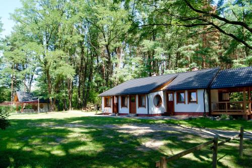a cottage in the woods with a yard at 3pokoje - Domek lub Pokój pod lasem na odludziu, jacuzzi, sauna, kominek, Roztocze in Susiec