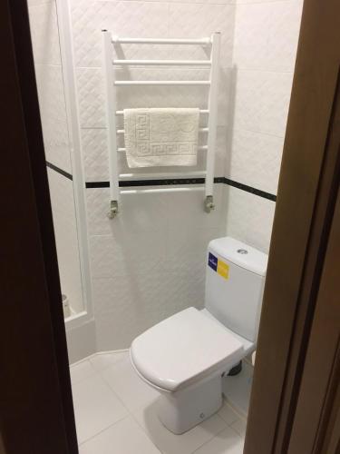 a bathroom with a white toilet and a towel rack at Polyana Apart in Polyana