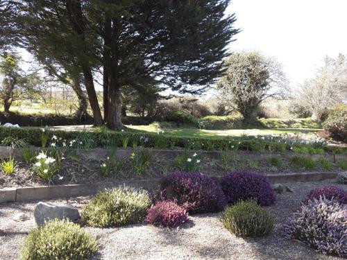a garden with purple and white flowers and trees at At Cedar Lodge in Ramsey