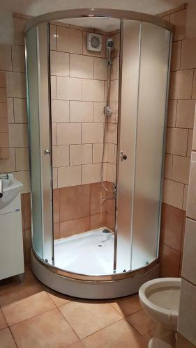 a shower with a glass door in a bathroom at Lion Cottage in Chuprene