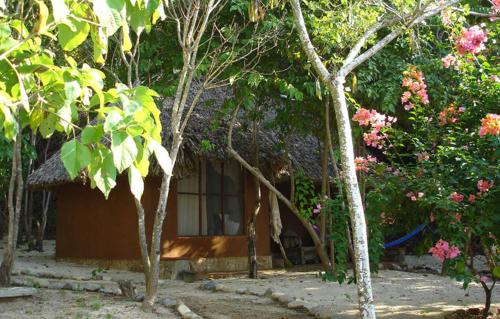 a small house in the middle of some trees at Hotel Bahía de la Luna in Arroyo Cruz