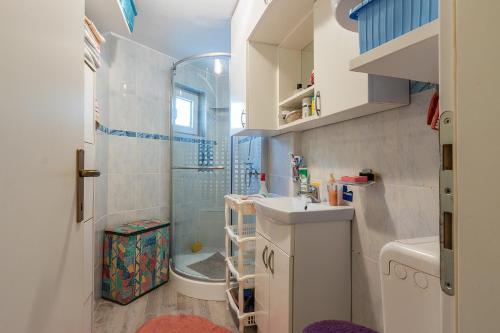 La petite salle de bains est pourvue d'un lavabo et d'une douche. dans l'établissement Apartments Salak, à Pula