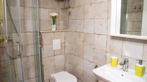 a bathroom with a shower and a toilet and a sink at Apartment Ariana in Bol