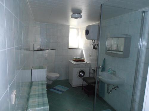 een badkamer met een douche, een toilet en een wastafel bij Ferienhaus Golm, 04924 Zobersdorf in Bad Liebenwerda