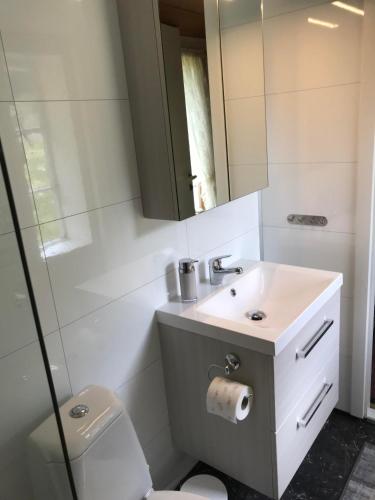 a bathroom with a sink and a toilet and a mirror at Tunold Gård - Gamle huset in Mindresunde