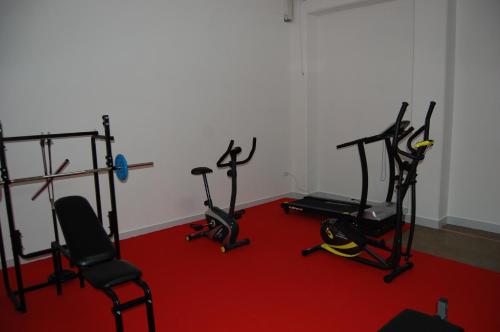 Fitness centrum a/nebo fitness zařízení v ubytování Giga Hotel