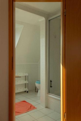a bathroom with a shower and a toilet in it at Pension zum Schwanenteich in Haldensleben