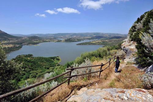 a person standing on a hill overlooking a lake at Brancadoria B&B in Monteleone Rocca Doria