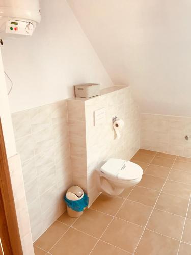 a small bathroom with a toilet in a room at Baltic Vip Apartamenty Letnie w Rewalu in Rewal