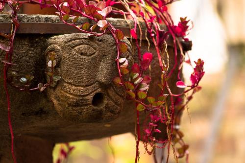 a stone face on a fence with pink flowers at Hotel Royal Qosqo in Cusco