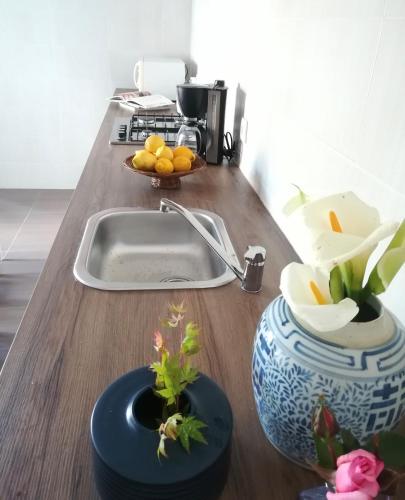 a kitchen counter with a sink and two vases with plants at House in the Town Centre in Caminha