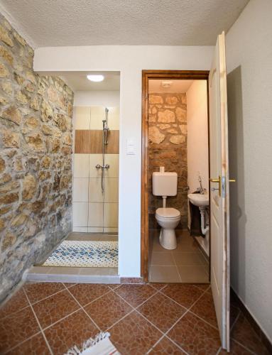 a bathroom with a shower and a toilet and a sink at Rózsa Vendégház in Tokaj