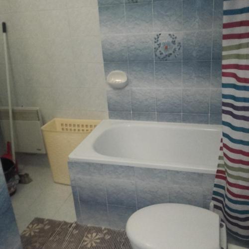 a bathroom with a bath tub and a toilet at The Green house - 20m from the beach in Novigrad Istria