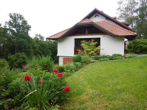 Κήπος έξω από το Apartment Countryside Kolpa-Bela krajina