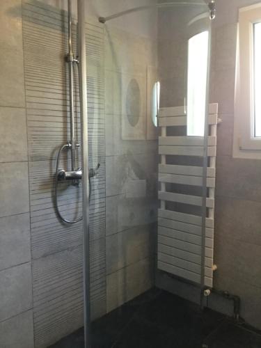 a shower with a glass door in a bathroom at La Maison des Eaux Claires in Puymoyen