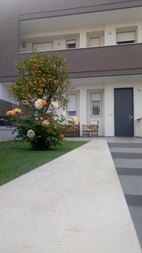 a building with a tree in front of it at Manolo Case Vacanza in Monopoli