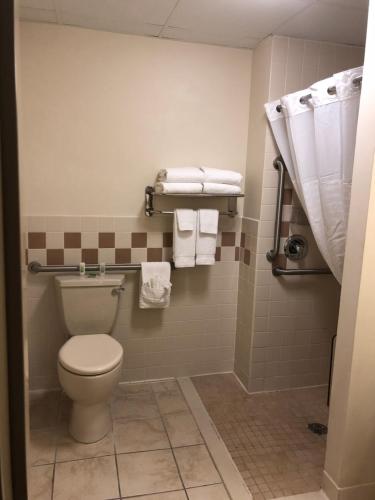 een badkamer met een toilet en handdoeken bij AmericInn by Wyndham Princeton IL in Princeton