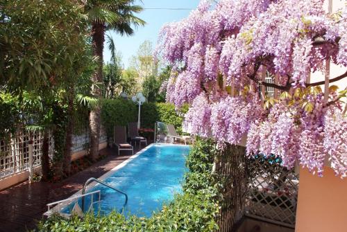 a wisteria hanging over a swimming pool at Hotel Milton Rimini in Rimini