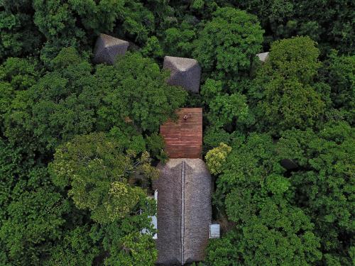 an overhead view of a road in the middle of a forest at Buena Vista Surf Club in Playa Maderas