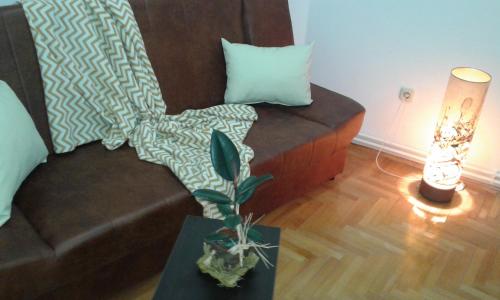 a living room with a couch and a plant on a table at Apartment VILLA MERCI in Sarajevo