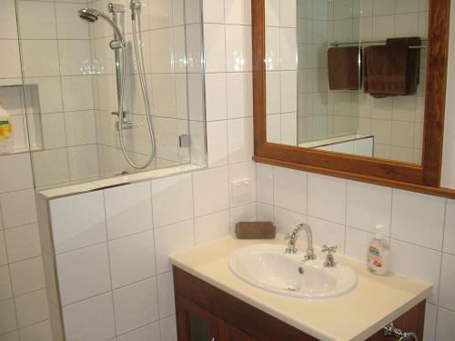 a bathroom with a sink and a shower with a mirror at The Summit Bed & Breakfast in Atherton