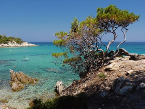 Gallery image of Hotel Alexandros in Ormos Panagias