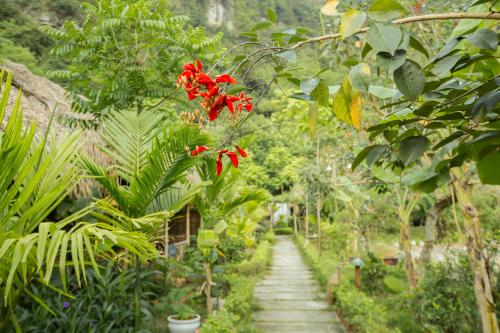 Gallery image of Tam Coc Rice Fields Resort in Ninh Binh