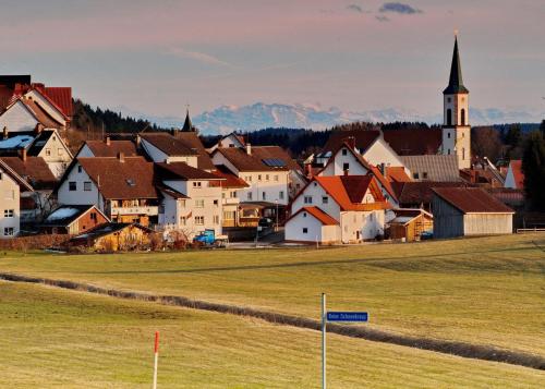 a town with a grass field and a church at Wildkräuter-Gasthof Linde in Löffingen
